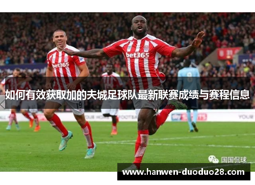 如何有效获取加的夫城足球队最新联赛成绩与赛程信息 如何有效获取加的夫城足球队最新联赛成绩与赛程信息