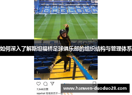 如何深入了解斯坦福桥足球俱乐部的组织结构与管理体系