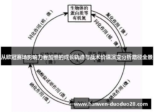 从欧冠赛场影响力看加维的成长轨迹与战术价值演变分析路径全景