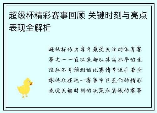 超级杯精彩赛事回顾 关键时刻与亮点表现全解析